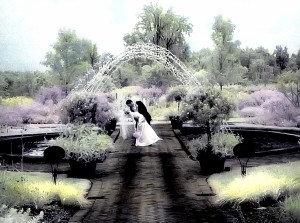 hand-colored infrared fountain                